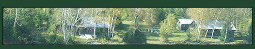 Bear, Moose and Deer Hunting in Maine