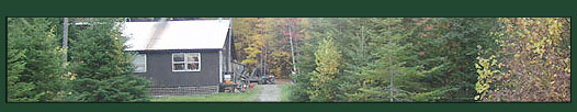 Bear, Moose and Deer Hunting in Maine