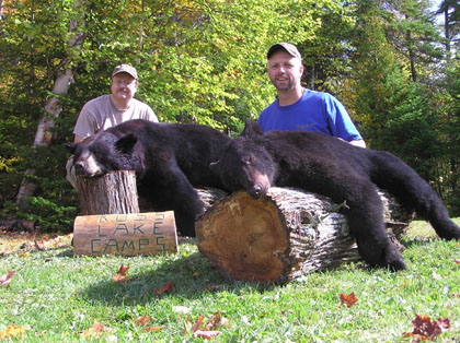 bear-trapping