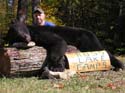 maine-bear-trapping