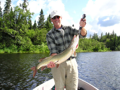 Maine-Muskie