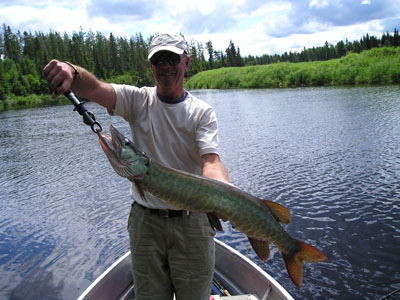 MaineMuskellunge