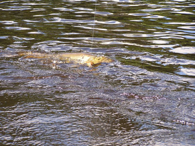 maine-fishing