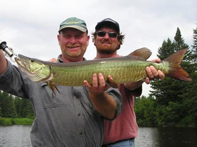 muskie-guide