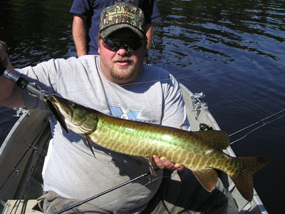 trophymainemuskie