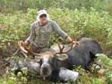 Maine Moose Hunting 2008