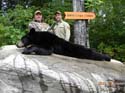 Guided Bear Hunts