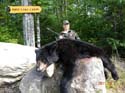 Guided Black Bear Hunting