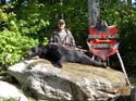 Maine Bear Hunting Camp