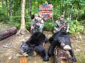Bear Hunting Lodges