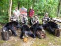 Maine Bear Hunting Lodges