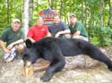 Maine Black Bear Hunts