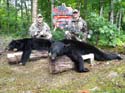 Maine Black Bear Outfitters