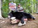Managed Black Bear Hunts