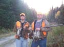 Guided Maine Grouse Hunts