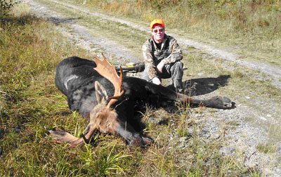 Maine bull moose hunting