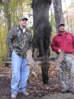 Maine guided moose hunt