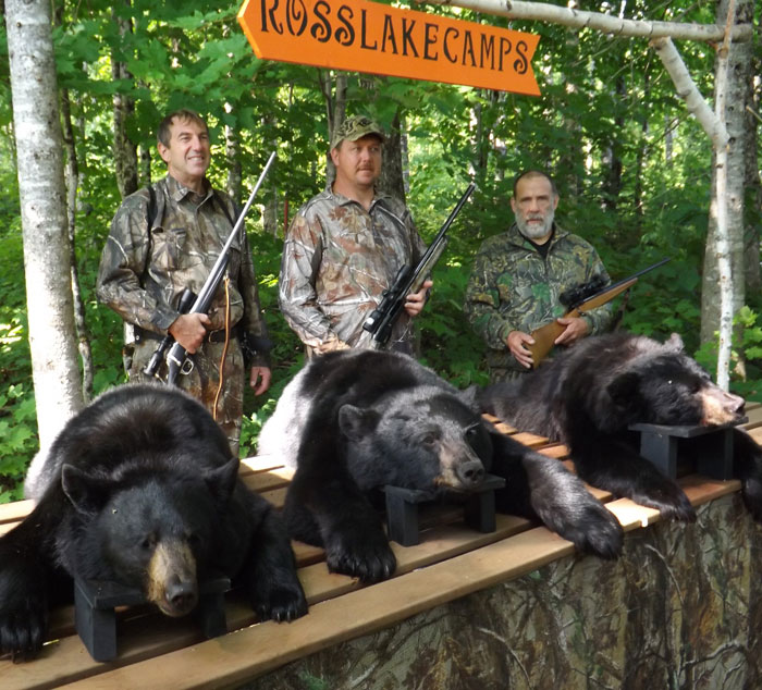 black bear hunting license