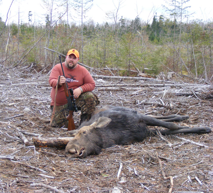Ross Lake Camps Maine Cow Moose Hunt