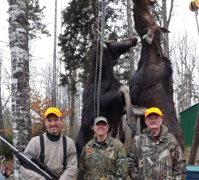 Ross Lake Camps Maine Cow Moose Hunt